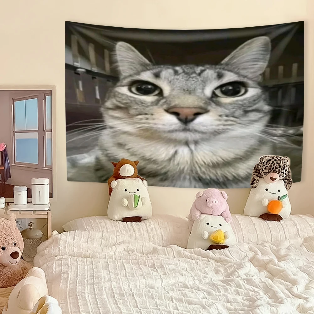 Funny Cat Meme Tapestry, Kawai - Wall Scroll Tapestry recensie en prijs